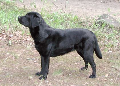 Dotti in May 2007