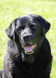 FI&SE&NO&POHJ JVA &nbsp;FI TVA &nbsp;BH &nbsp;Buckthorn's One And Only